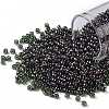 TOHO Round Seed Beads SEED-JPTR08-0326-1