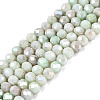 Ombre Effect Dyed Glass Beads Strands GLAA-C023-02-C22-1