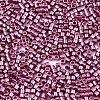FGB 11/0 Grade A Glass Seed Beads SEED-S030-1203-2