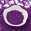 Baking Paint Glass Seed Beads X-SEED-S042-05B-73-2