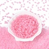 FGB Frosted Transparent Glass Seed Beads SEED-N013-06A-05-2