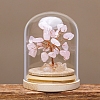 Natural Rose Quartz Sculpture Display Decorations PW-WGCF120-01-1