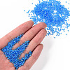 12/0 Grade A Round Glass Seed Beads SEED-Q010-F545-4