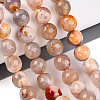 Dyed & Heated Natural Fire Crackle Agate Beads Strands G-N359-01B-10-1