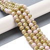 Baking Paint Glass Bead Strands GLAA-H031-01B-06-2