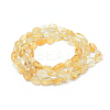 Natural Citrine Beads Strands G-P331-03A-2