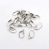 Tarnish Resistant 304 Stainless Steel Leverback Earring Findings LS-STAS-N036-02-2