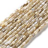 Natural Freshwater Shell Beads Strands SSHEL-B002-17-1