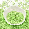 Baking Paint Glass Seed Beads X-SEED-S042-05B-65-2