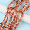 Natural Carnelian Beads Strands G-G0003-B18-2