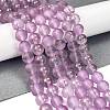 Frosted Transparent Glass Bead Strands GLAA-P065-8mm-07-1