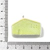 Flocky Opaque Resin Pendants RESI-F062-02G-3
