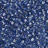 6/0 Glass Seed Beads X2-SEED-A005-4mm-26-2