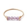 Natural Apatite & Natural Carnelian & Natural Amethyst & Natural Moss Agate Beads Finger Rings RJEW-TA00187-5