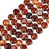 Natural Agate(Dyed & Heated) Beads Strands G-C116-A149-01-5
