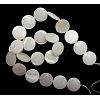 Natural Freshwater Shell Beads X-S00C20A2-2