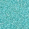 11/0 FGB Grade A Transparent Glass Seed Beads X-SEED-N001-F-257-2