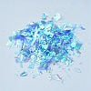 Plastic Candy Sequins/Paillette Chip X-DIY-I019-01J-2