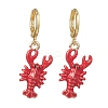 2 Pairs Zinc Alloy Leverback Earrings EJEW-JE06911-4