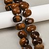 Natural Tiger Eye Beads Strands G-F796-B02-01-1