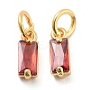 Brass Micro Pave Cubic Zirconia Charms ZIRC-F111-03G-10-1
