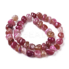 Natural Agate Beads Strands G-L560-L-5