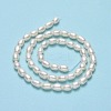 Natural Cultured Freshwater Pearl Beads Strands PEAR-J006-17C-01-3