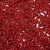 Baking Paint Glass Seed Beads X-SEED-S042-05B-89-3