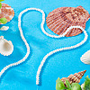 1 Strand Natural Trochus Shell Rondelle Beads Strands SSHEL-TA0001-16A-5