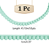 Polyester Ribbon OCOR-WH0086-77E-2
