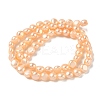Natural Cultured Freshwater Pearl Beads Strands PEAR-C004-21B-3