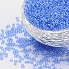 12/0 Grade A Round Glass Seed Beads SEED-Q011-FM-2