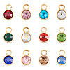 24Pcs 12 Colors Glass Rhinestone Charms STAS-TA0002-68-1
