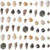 150G 5 Styles Natural Mixed Shell Beads SSHEL-SC0001-50-7