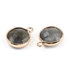 Natural Labradorite Charms G-Q998-026E-2