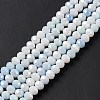 Ombre Effect Dyed Glass Beads Strands GLAA-C023-02A-6
