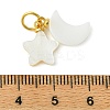 Natural Freshwater Shell Pendants PALLOY-JF05399-3