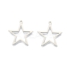 Non-Tarnish 201 Stainless Steel Pendants LS-STAS-N098-096P-1