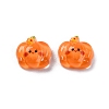 Cartoon Transparent Resin Cabochons CRES-R459-01H-1