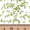 6/0 Glass Seed Beads SEED-S007-8-4