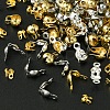 Stainless Steel & Brass & Iron
Bead Tips FIND-FS0002-49-3