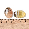 Natural Striped Agate/Banded Agate Cabochons G-H296--01D-04-3