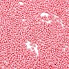 Baking Paint Glass Seed Beads X-SEED-S042-05B-86-3