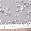 MIYUKI Delica Beads SEED-MY11-DB0222-4