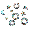 DICOSMETIC 12Pcs 6 Styles Natural Abalone Shell/Paua Shell Beads SSHEL-DC0001-01-1