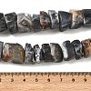 Natural Banded Agate Beads Strands G-K381-B01-3