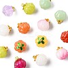 24Pcs 9 Colors Glass Charms GLAA-FS0002-42-3