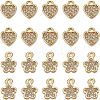 20Pcs 2 Styles Brass Clear Cubic Zirconia Charms FIND-AR0005-22G-1