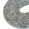 Natural Labradorite Beads Strands G-A260-A44-01A-3