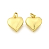 Brass Pendants KK-I275-10G-02-1
